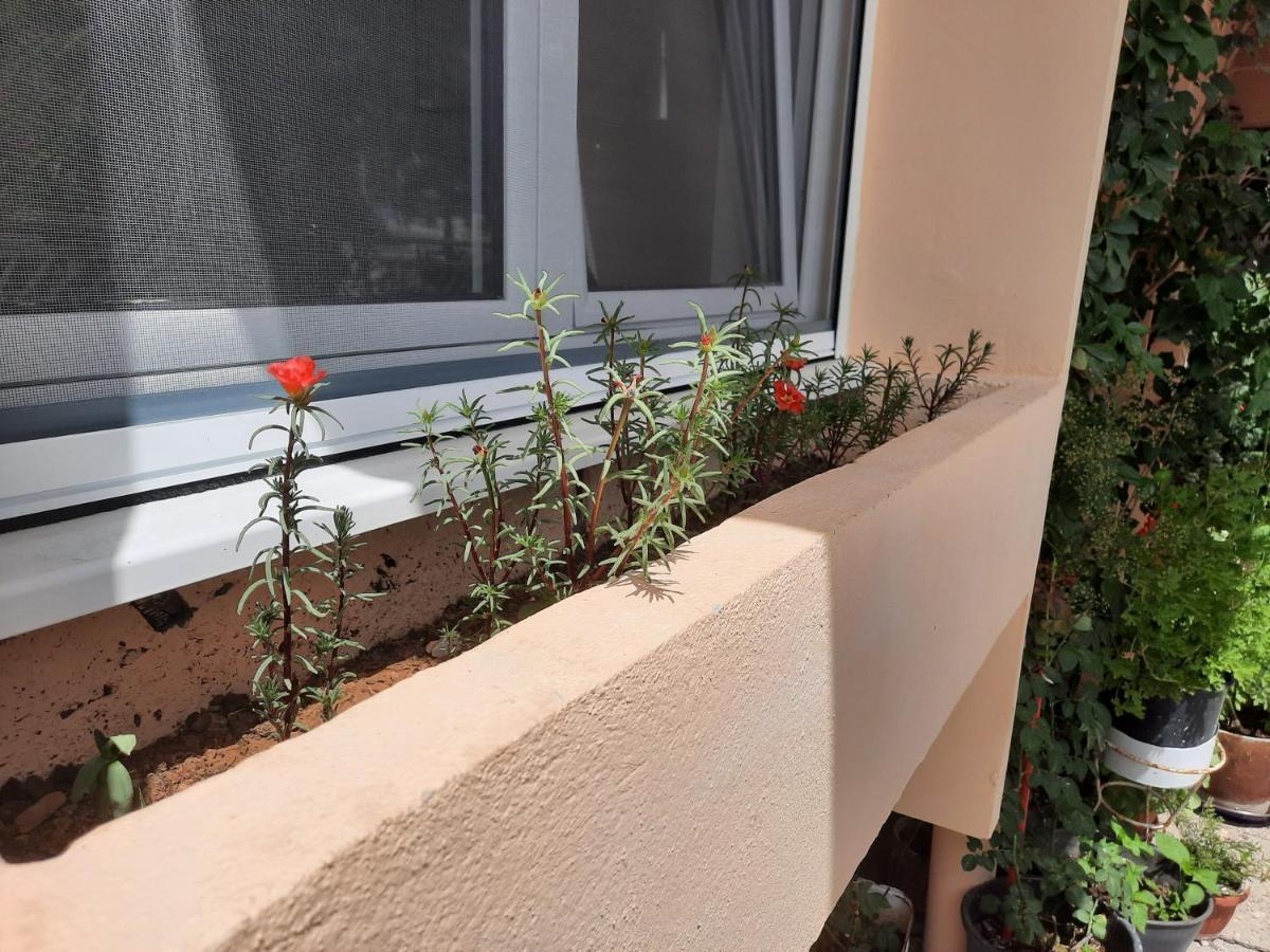 Montenegro Sea Pearl Apartments Petrovac Εξωτερικό φωτογραφία